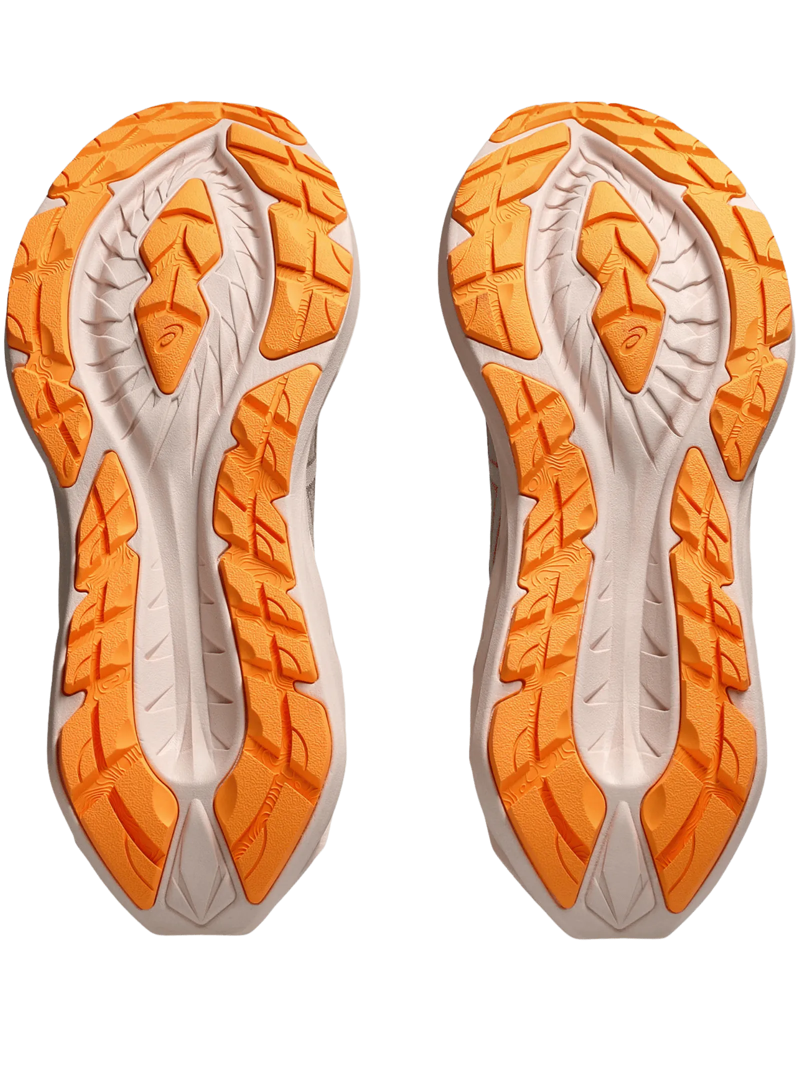 Asics Novablast 4 TR Scarpe Running Donna