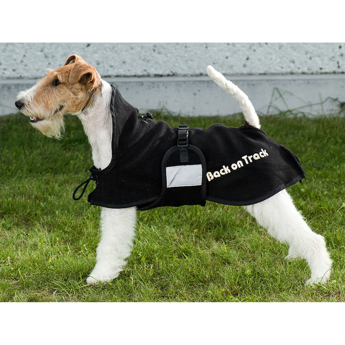 Back on Track Coperta per cani in pile, 37-52
