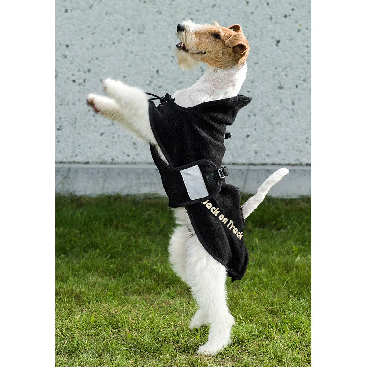 Back on Track Coperta per cani in pile, 37-52