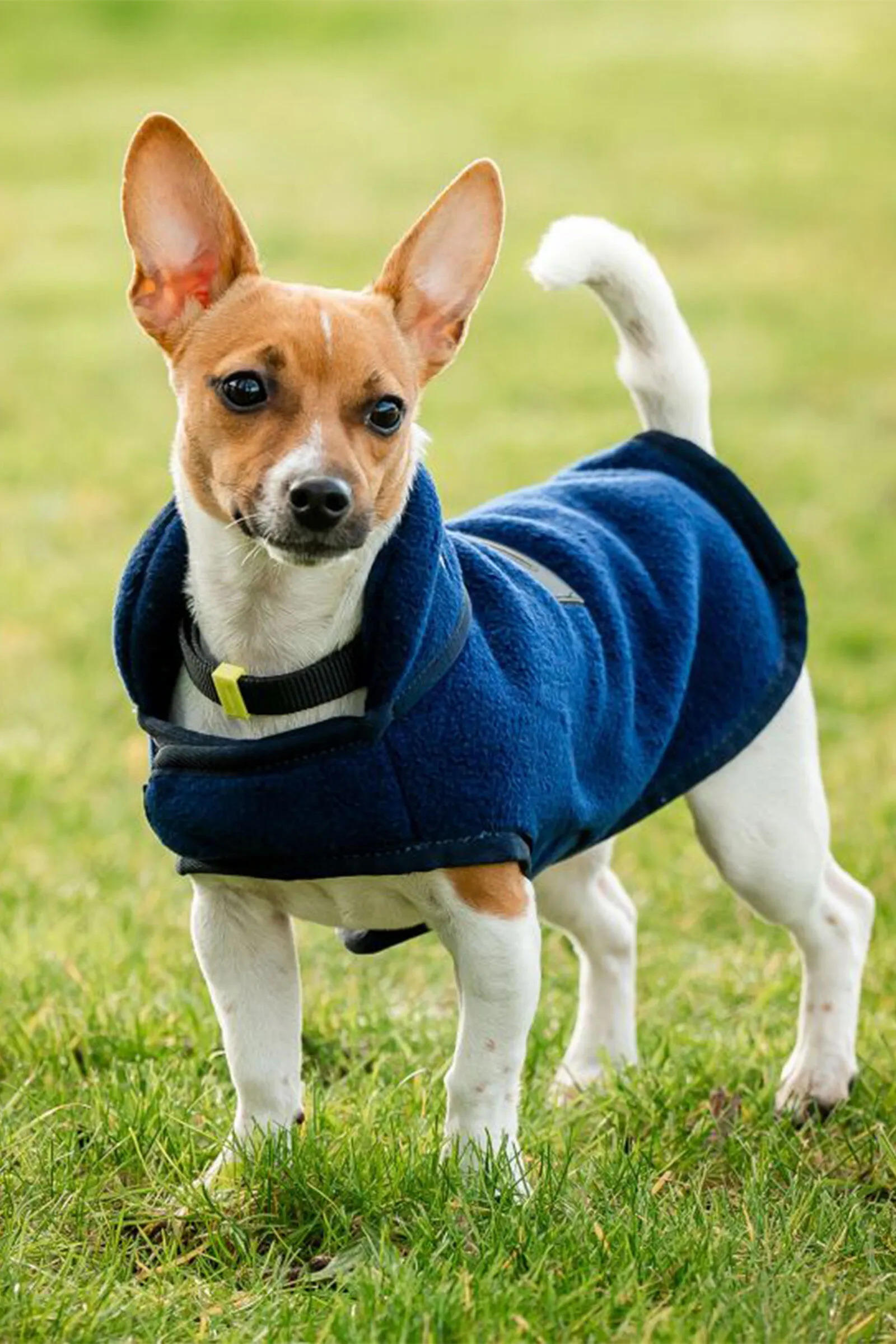Coperta in pile per cani Horseware Signature