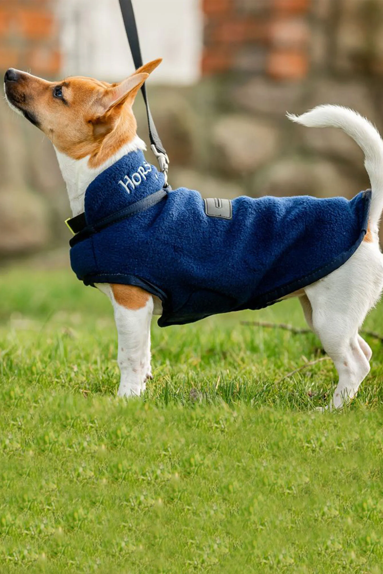 Coperta in pile per cani Horseware Signature