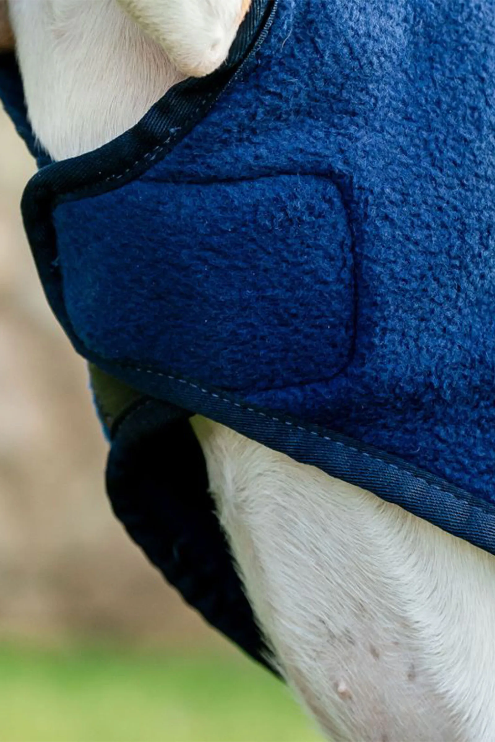 Coperta in pile per cani Horseware Signature