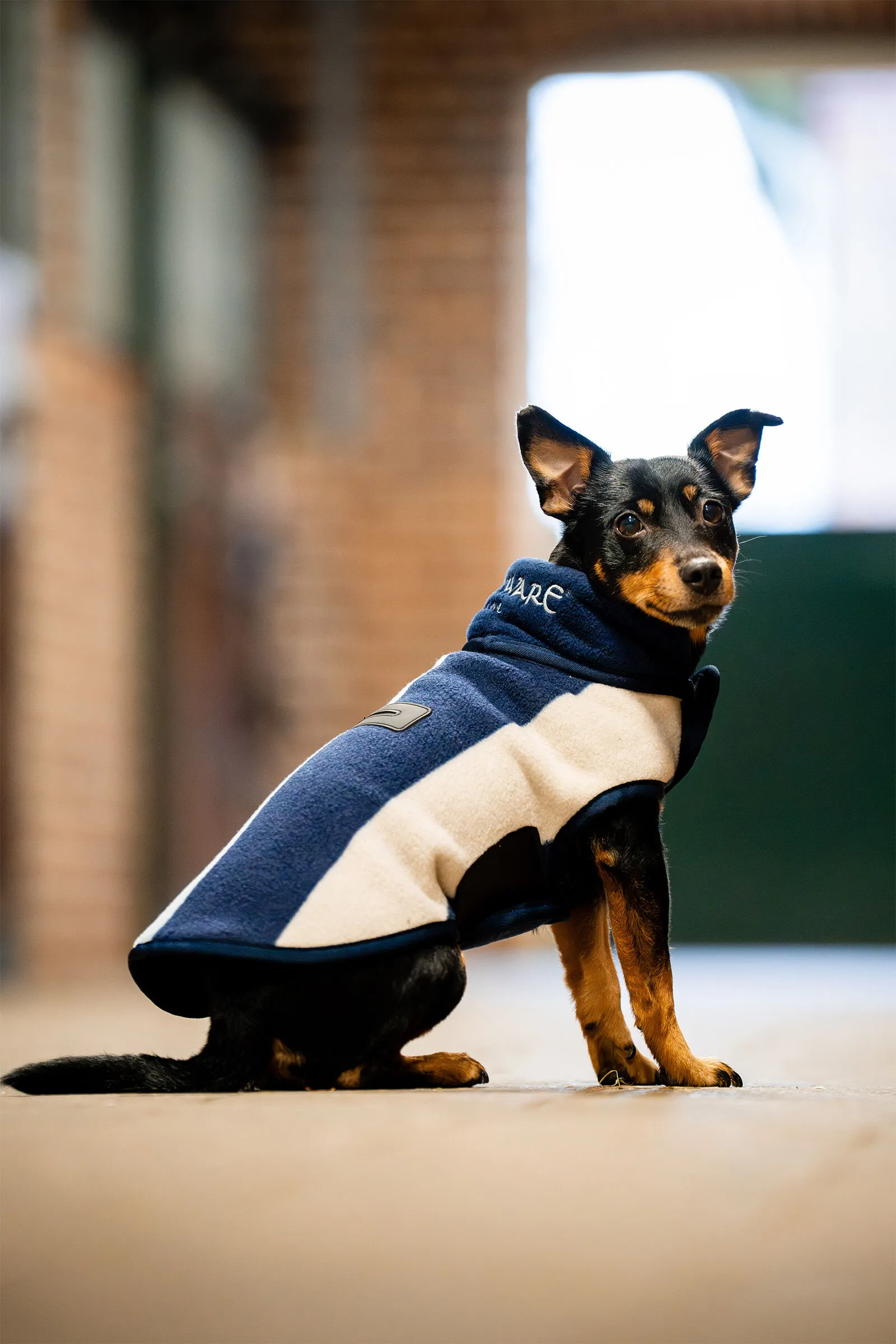 Coperta in pile per cani Horseware Signature