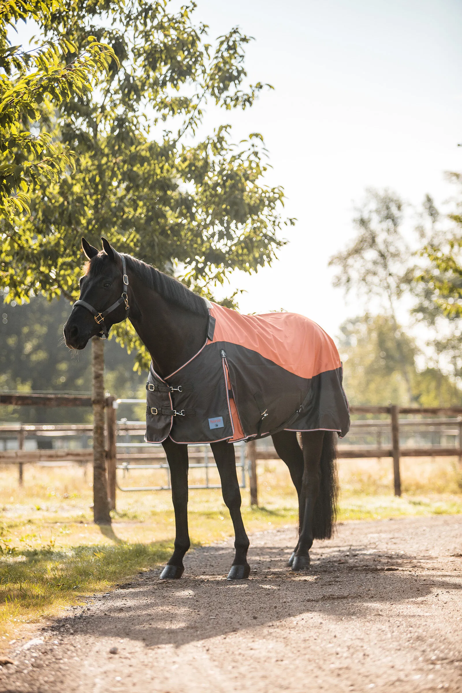 Coperta Turnout Horze Lucerne con fodera in pile