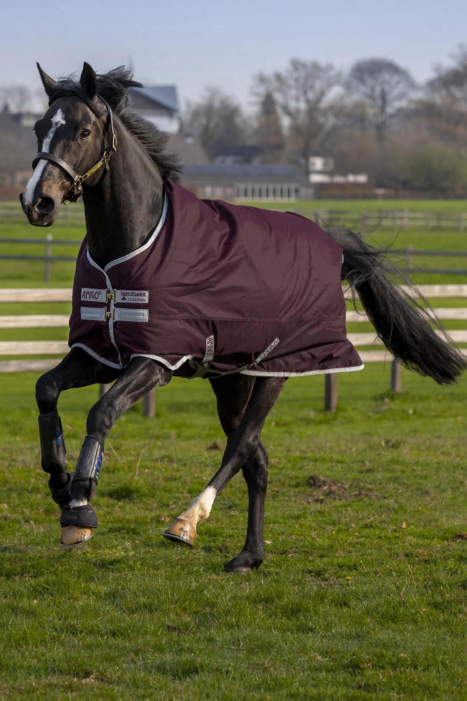 Horseware Coperta da turnout Amigo Hero in ripstop con fodera in pile, 50g