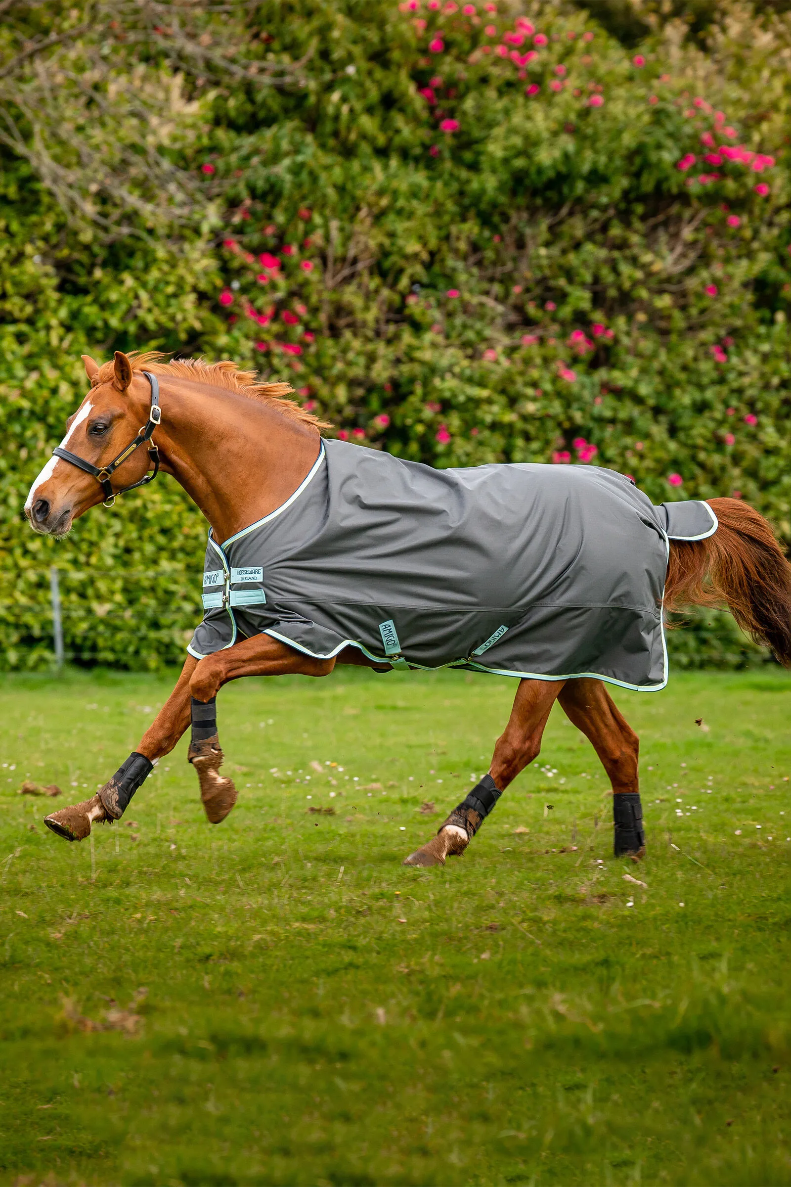 Horseware Coperta da turnout Amigo Hero in ripstop con fodera in pile, 50g