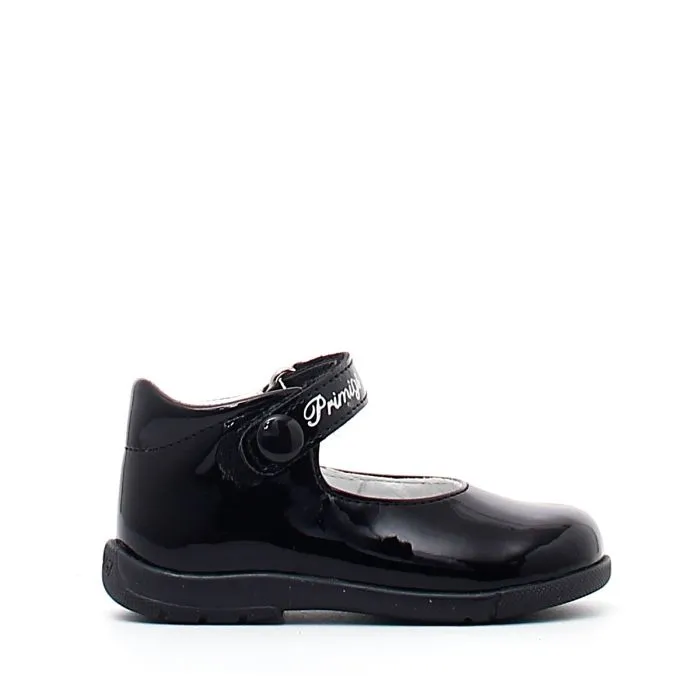 PPB 44019 VERNICE