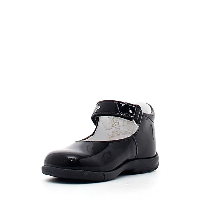 PPB 44019 VERNICE