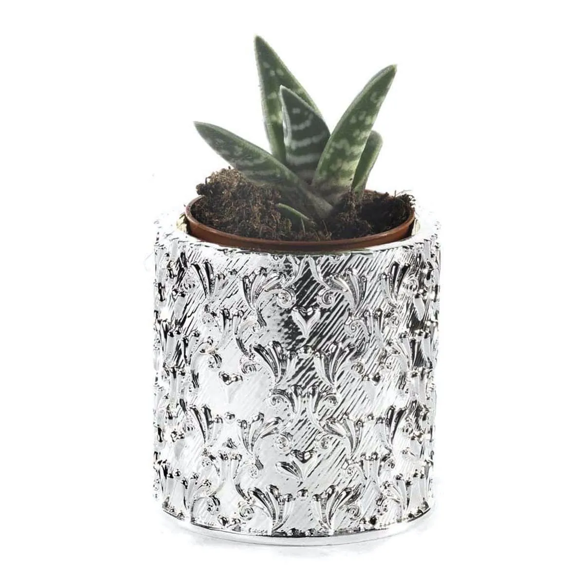 Vaso Natura Mediterranea